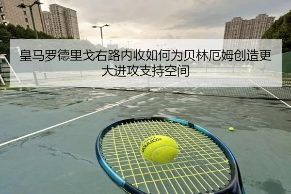 img_1781193323314_313_0_395.jpg